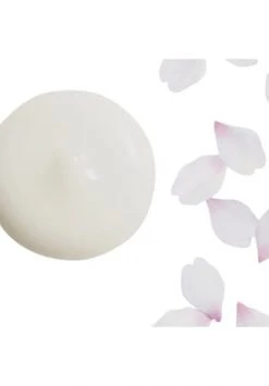 SHISEIDO WHITE LUCENT 50ml -Angebote Gesichtspflege Store unnamed file 147