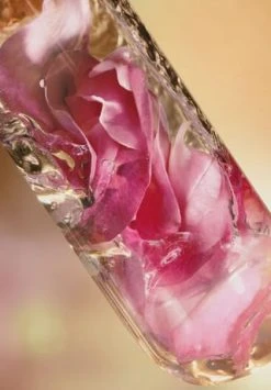 LANCÔME ABSOLUE 60.0 ML -Angebote Gesichtspflege Store unnamed file 383