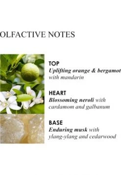 MOLTON BROWN Orange & Bergamot, Bodylotion 300ml 10 MOLTON BROWN Orange & Bergamot, Bodylotion 300ml -Angebote Gesichtspflege Store unnamed file 72