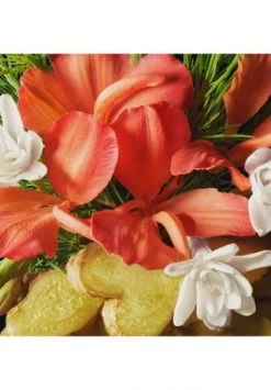 MOLTON BROWN HAND CARE Heavenly Gingerlily Hand Cream 40ml -Angebote Gesichtspflege Store unnamed file 76