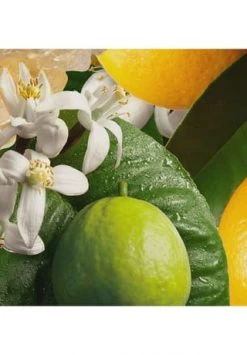 MOLTON BROWN Orange & Bergamot Handcreme 40ml -Angebote Gesichtspflege Store unnamed file 79