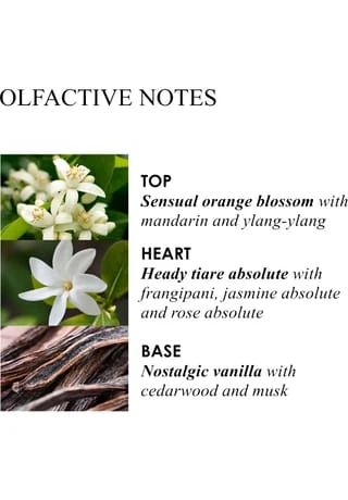 MOLTON BROWN HAND CARE Flora Luminare Hand Lotion 300ml 5 MOLTON BROWN HAND CARE Flora Luminare Hand Lotion 300ml – Bild 3