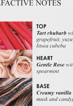 MOLTON BROWN HAND CARE Delicious Rhubarb & Rose Hand Sanitiser Gel 100ml -Angebote Gesichtspflege Store unnamed file 92