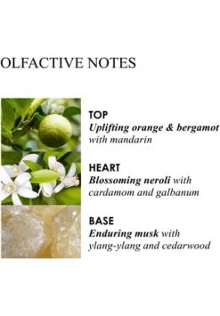 MOLTON BROWN Orange & Bergamot, Handgel 100.0 ML -Angebote Gesichtspflege Store unnamed file 96